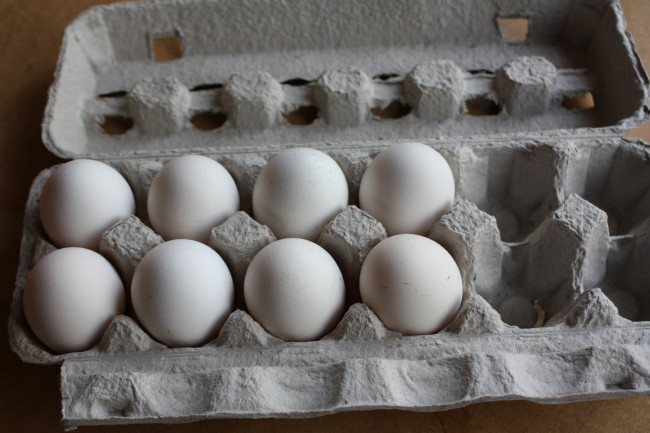 Brabanter Eggs